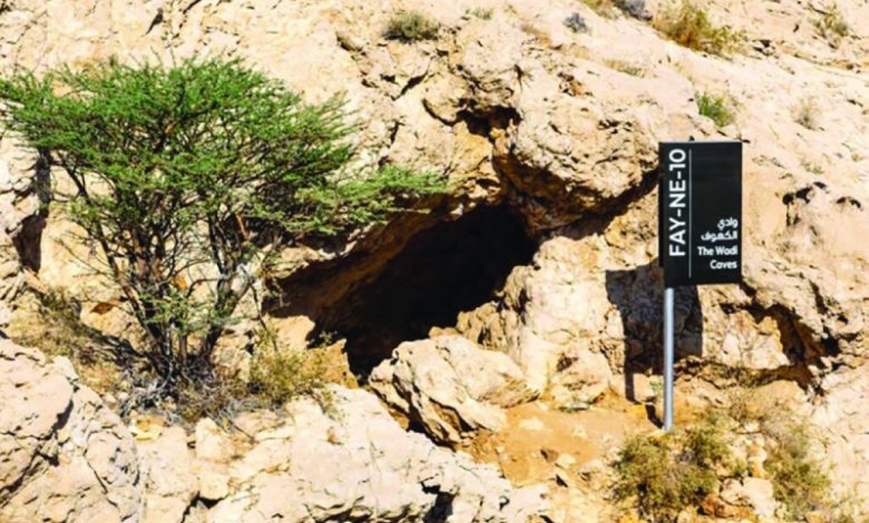 الفاية الإماراتي