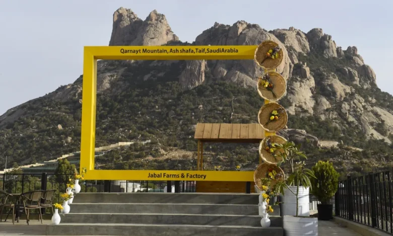 وادي ذي غزال