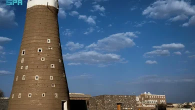 قصبة المضمار