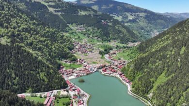 أوزون غول التركية