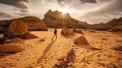 طيران عُمان