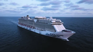 أرويا كروزس