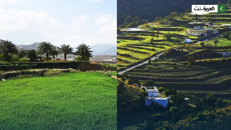 عسير