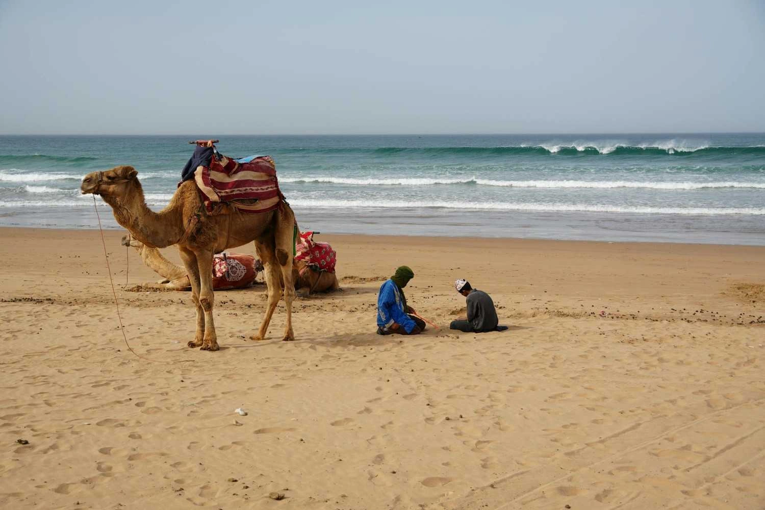 شواطئ المغرب
