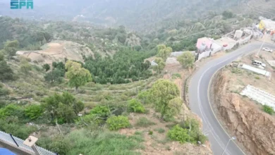 الجبل الأسود