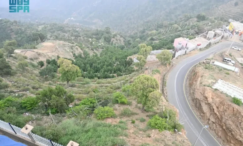 الجبل الأسود