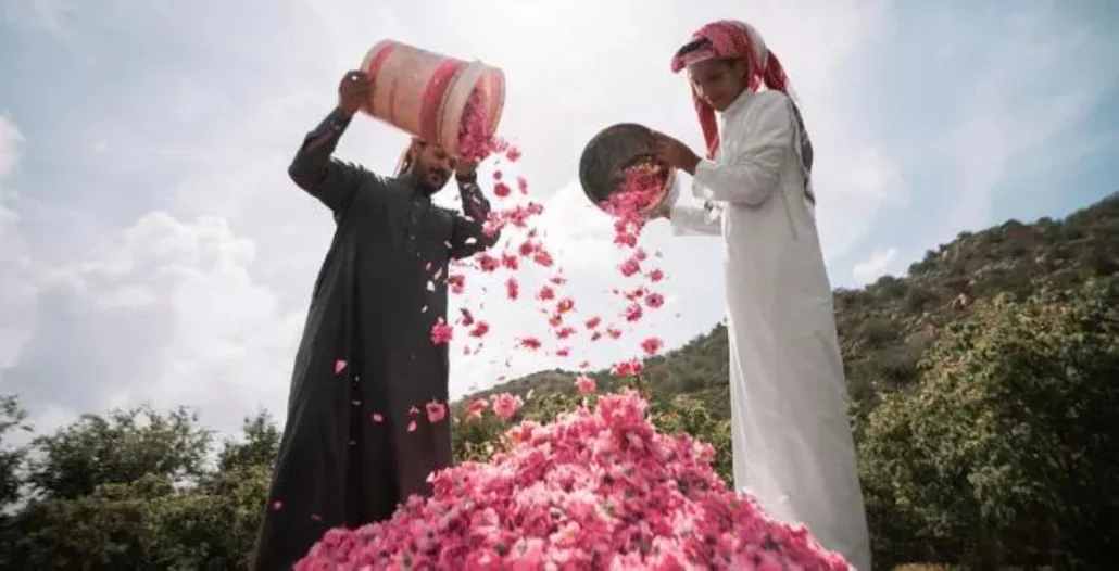 الطائف