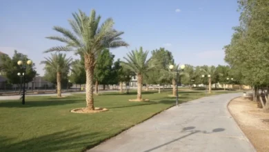 حديقة الندى