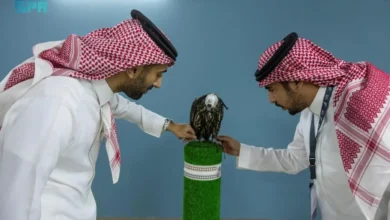 صقاري العالم