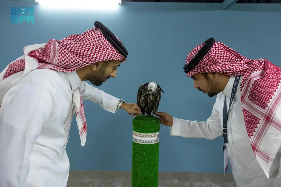 صقاري العالم