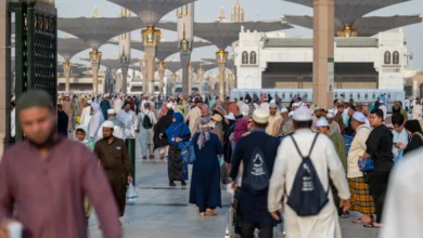 المدينة المنورة