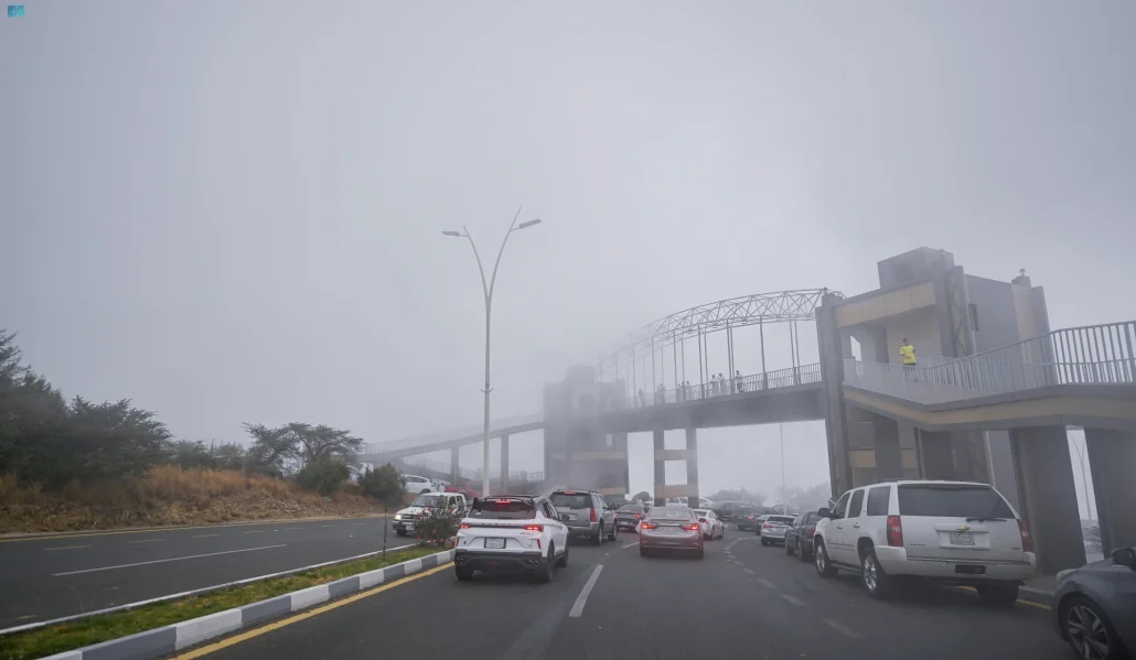 الباحة