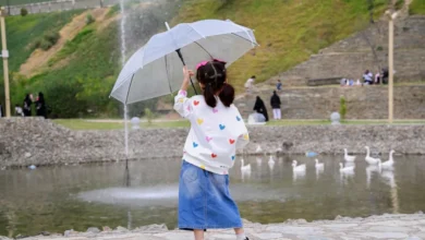 الباحة الممطرة