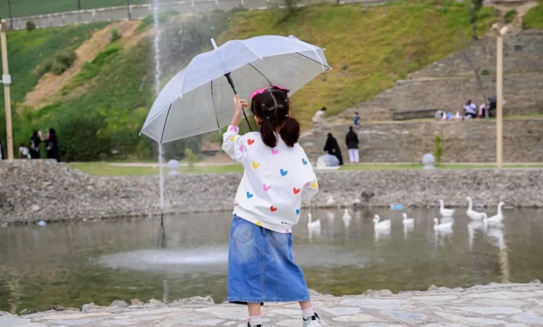 الباحة الممطرة