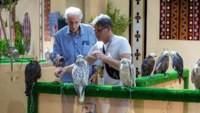 مزاد الصقور