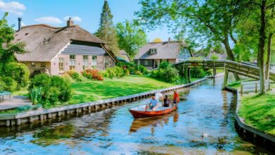 جيثورن الهولندية