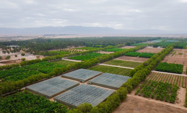 مزرعة رزات السلطانية