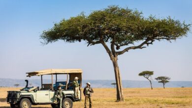 رحلات السفاري