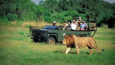 جنوب إفريقيا