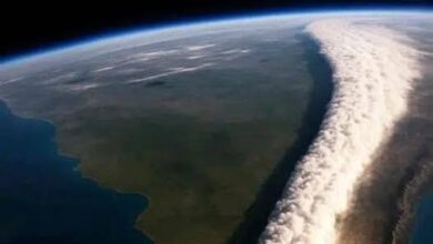 الشريط الأبيض