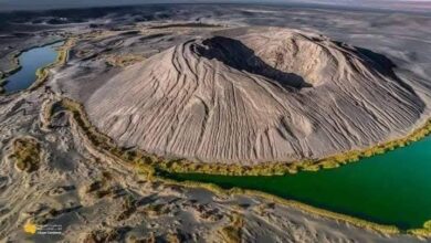 واو الناموس
