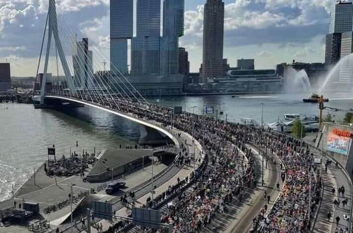 جسر إيراسموس