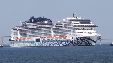 MSC Euribia
