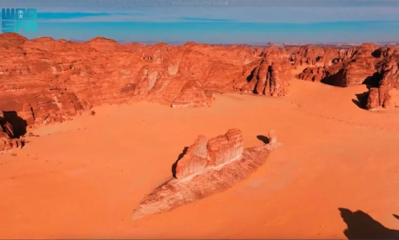 سمكة الصحراء