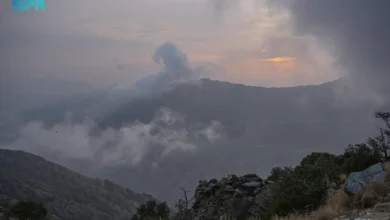 متنزهات الباحة