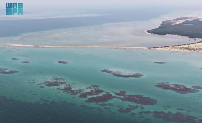 جزر البرك