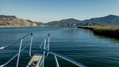 داليان التركية