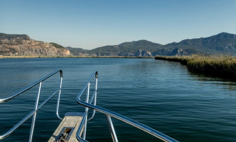 داليان التركية