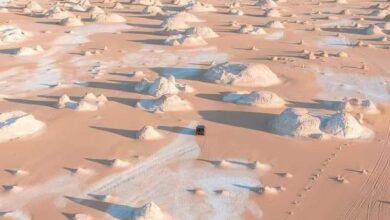 الصحراء البيضاء