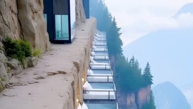 فندق السرير الزجاجي