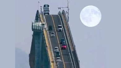 جسر إيشيما أوهاشي