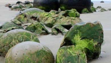 صخور مويراكي