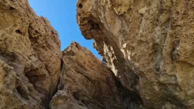 الجبل البحري