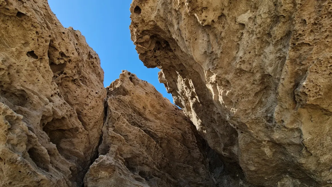 الجبل البحري