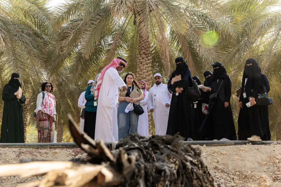 الأحساء