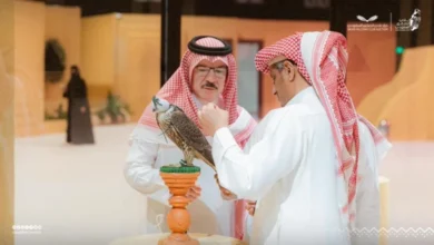 مزاد الصقور السعودي