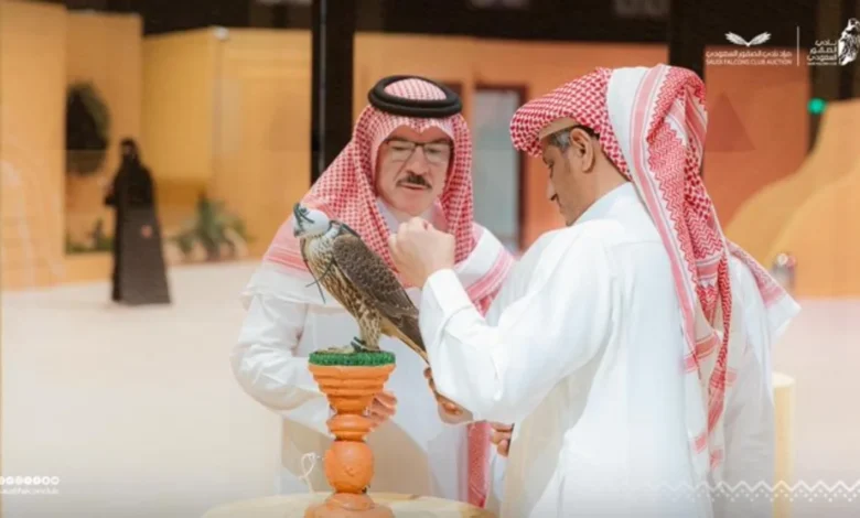 مزاد الصقور السعودي