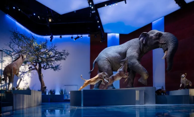 متحف التاريخ الطبيعي أبوظبي