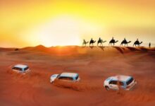 رحلات السفاري في دبي