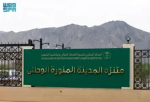 منتزه المدينة الوطني