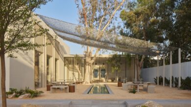 ذا ميلد كونسبت