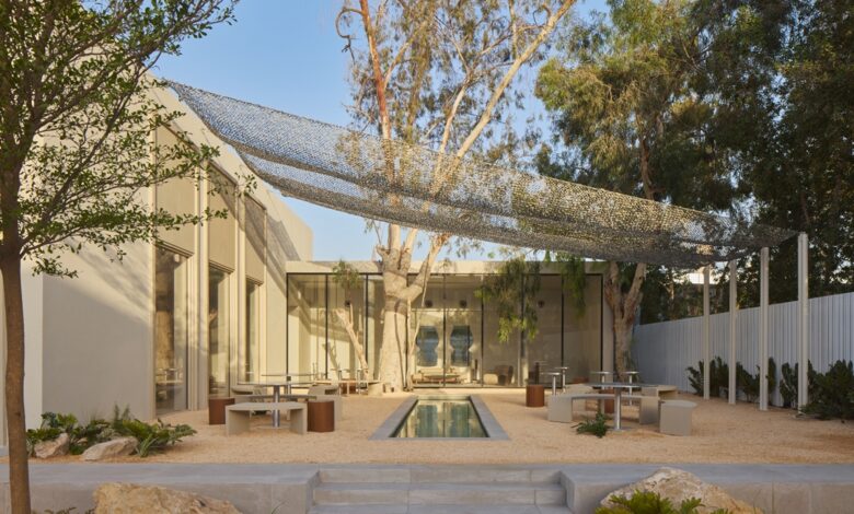 ذا ميلد كونسبت