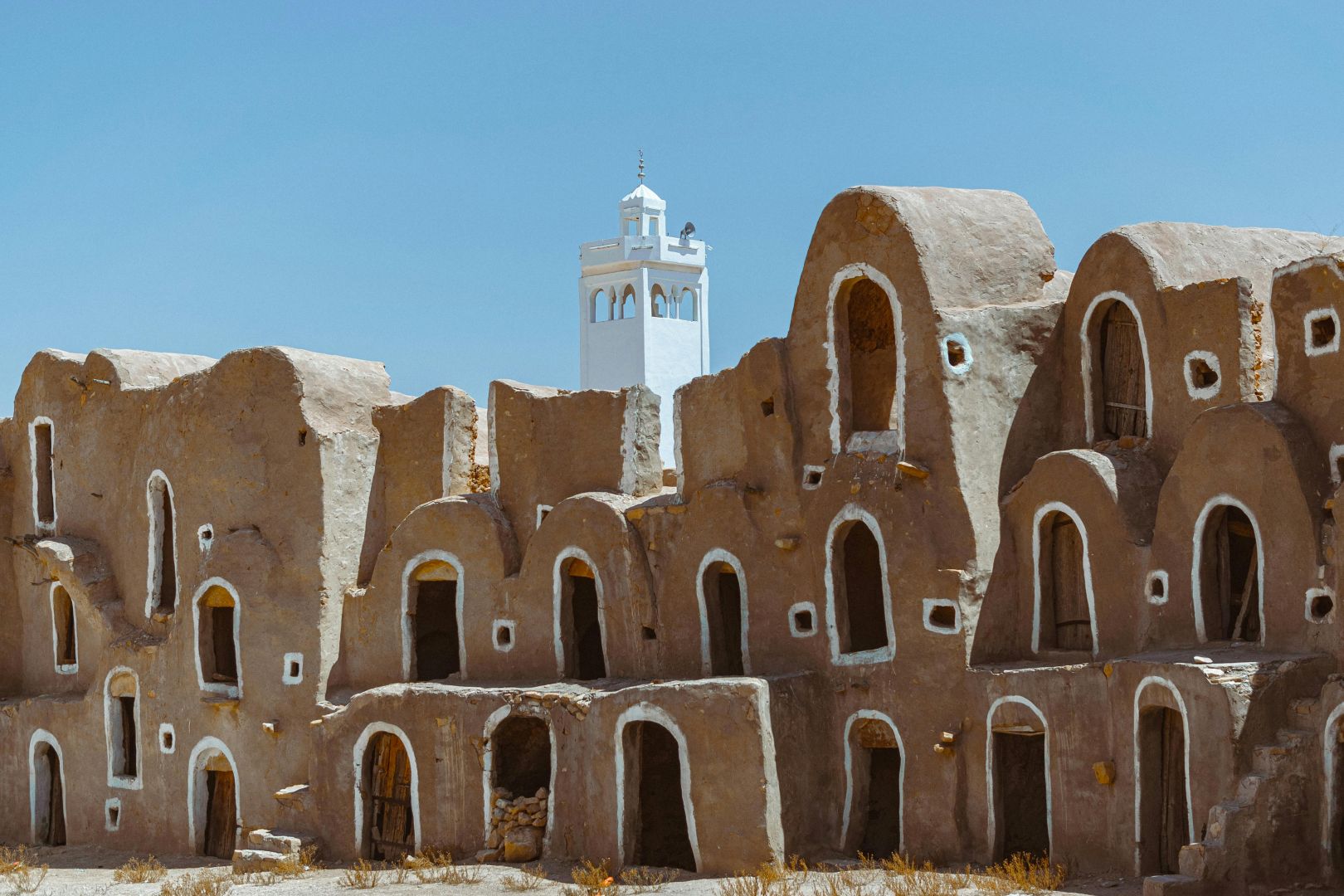 تونس