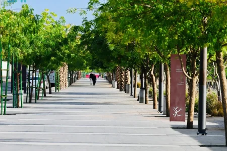 ممشى وادي العقيق