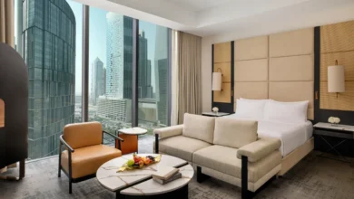 فنادق ماينور