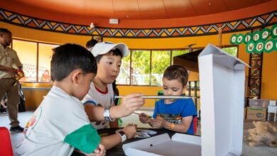 دبي سفاري بارك